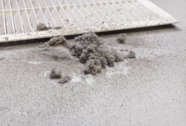 Best Ventilation Cleaning Services  in Lake Waynoka, OH