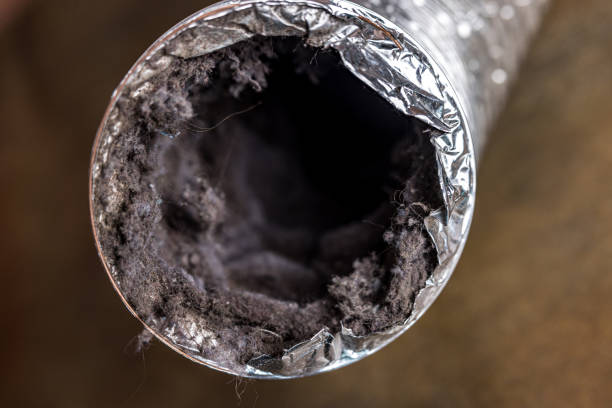 Best Air Duct Cleaning Near Me  in Lake Waynoka, OH