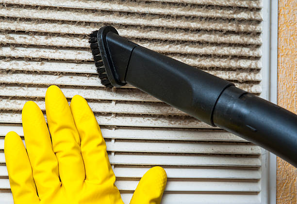 Best Professional Duct Cleaning Services  in Lake Waynoka, OH